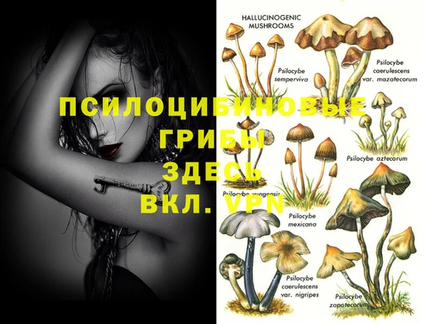 амфетамин Бородино