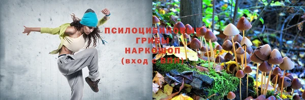 спиды Армянск