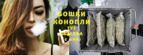 гашик Бронницы