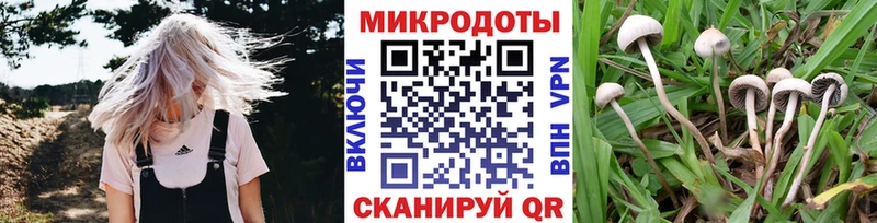 магазин продажи   кракен онион  Псилоцибиновые грибы мухоморы  Чудово 